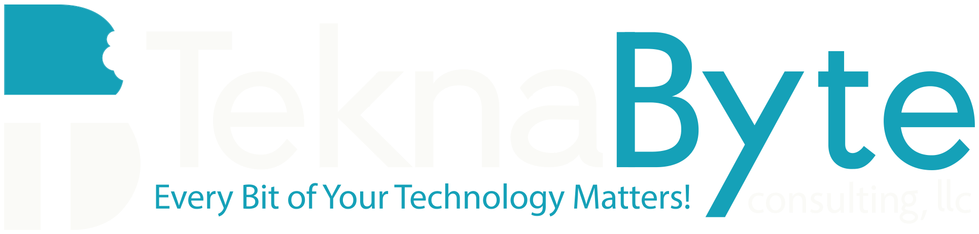 TeknaByte Consulting