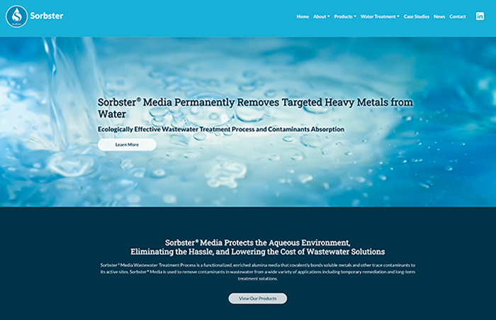 sorbster website home page